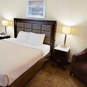 King Room Disability Access